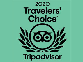 trip-advisor-cropped
