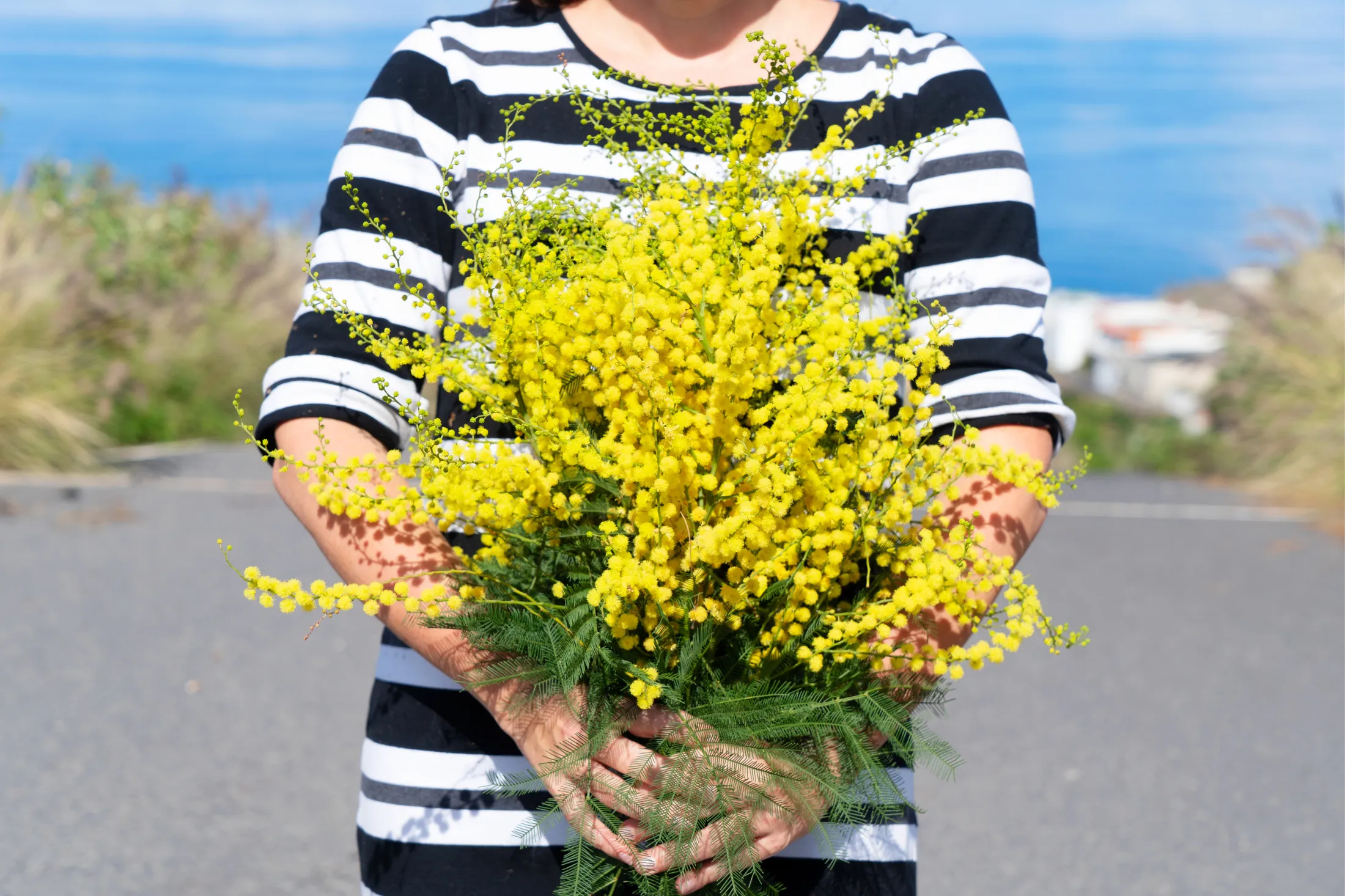 Woman holding a bouquet of Mimosa flowers.