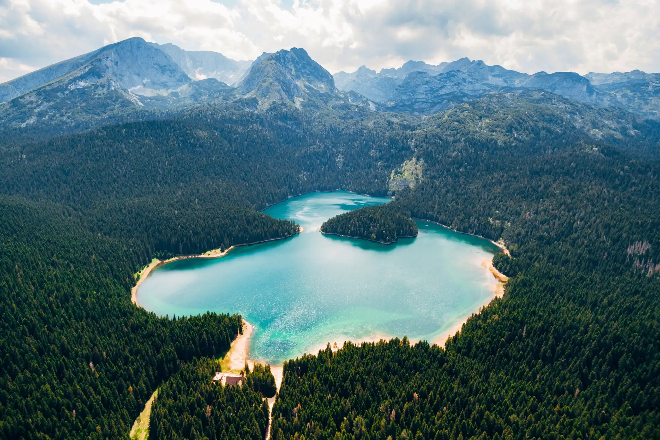 Black Lake surrounded by Dense Forest of Durmitor National Park