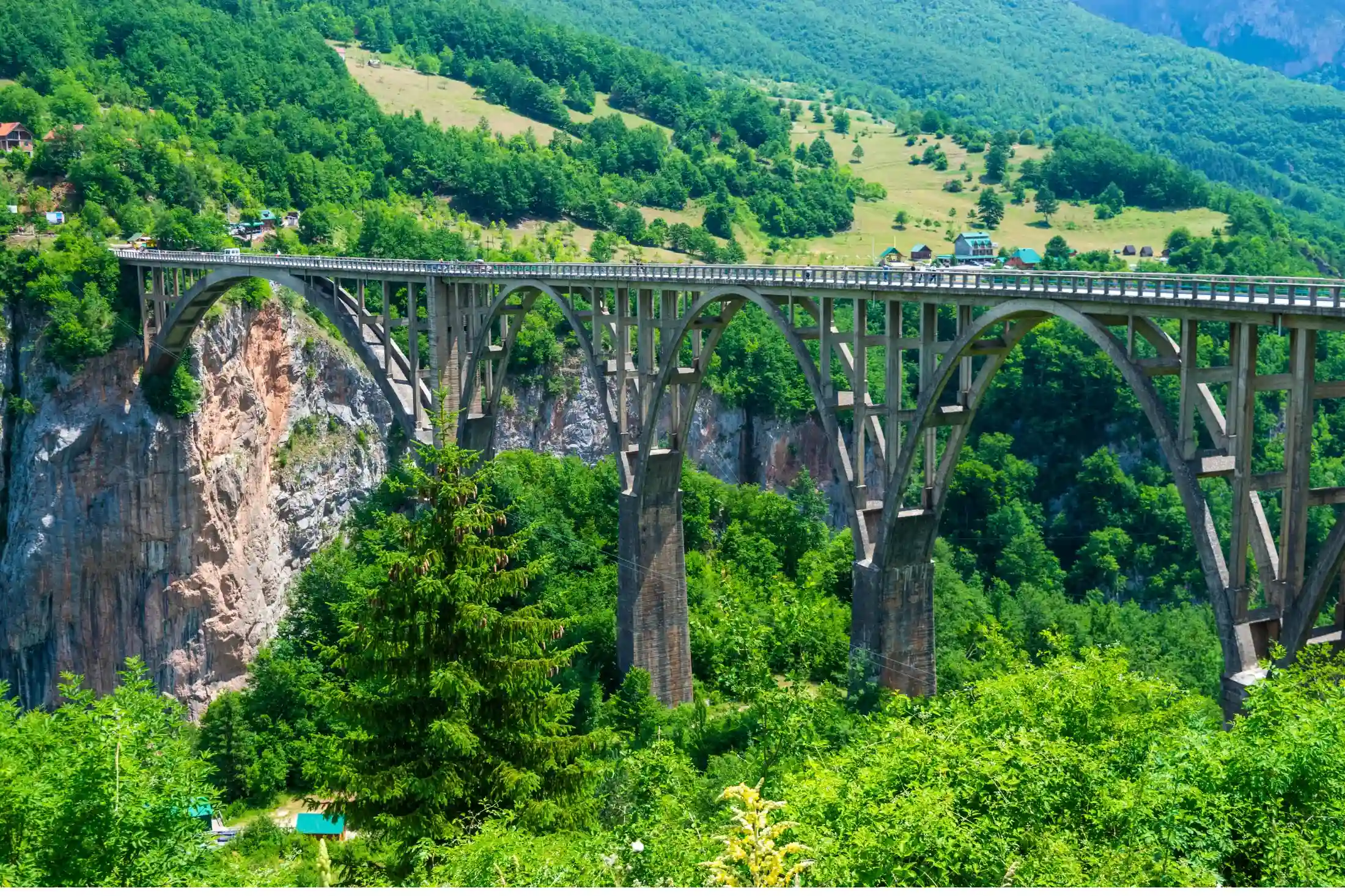 Djurdjevića Tara Bridge