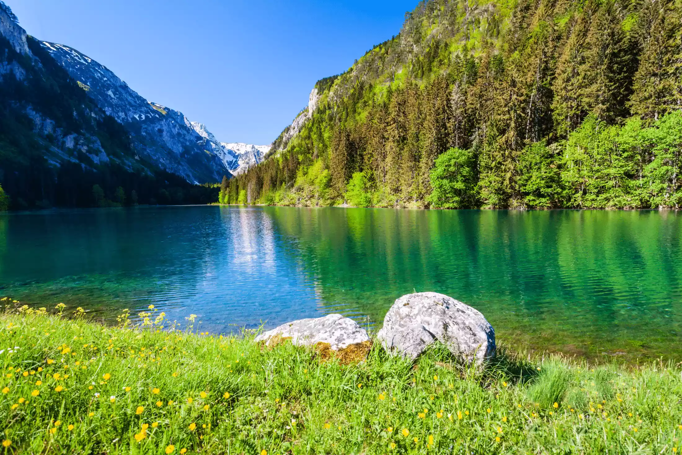 Mountain peaks, lakes and a lush forest – common Durmitor National Park scenery