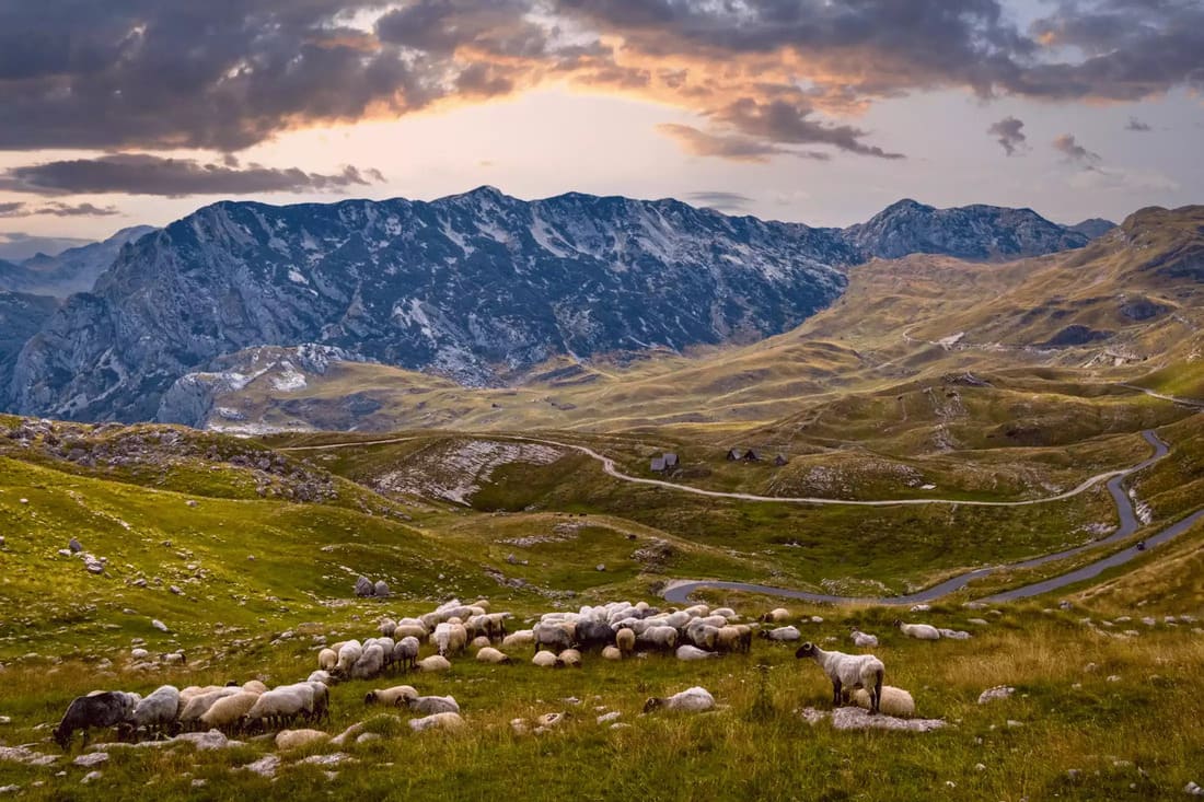 Durmitor National Park: Montenegro’s Wild Beauty